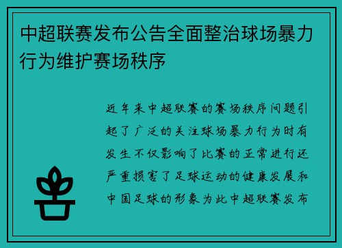中超联赛发布公告全面整治球场暴力行为维护赛场秩序 中超联赛发布公告全面整治球场暴力行为维护赛场秩序